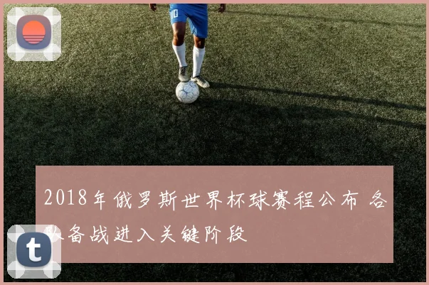 2018年俄罗斯世界杯球赛程公布 各队备战进入关键阶段