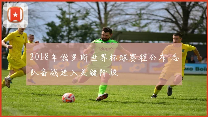 2018年俄罗斯世界杯球赛程公布 各队备战进入关键阶段
