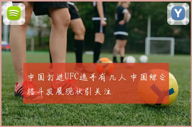 中国打进UFC选手有几人 中国综合格斗发展现状引关注