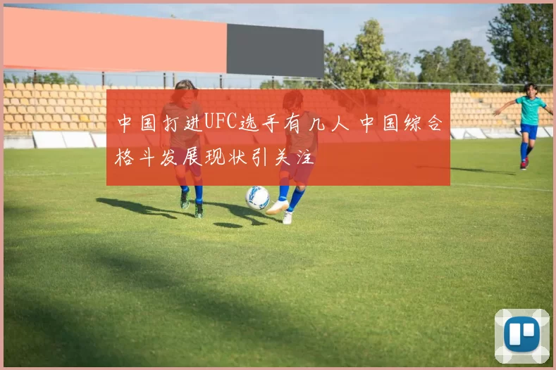 中国打进UFC选手有几人 中国综合格斗发展现状引关注