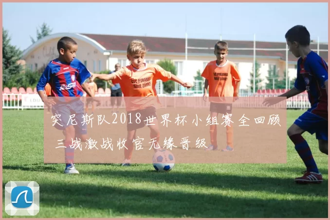 突尼斯队2018世界杯小组赛全回顾 三战激战收官无缘晋级